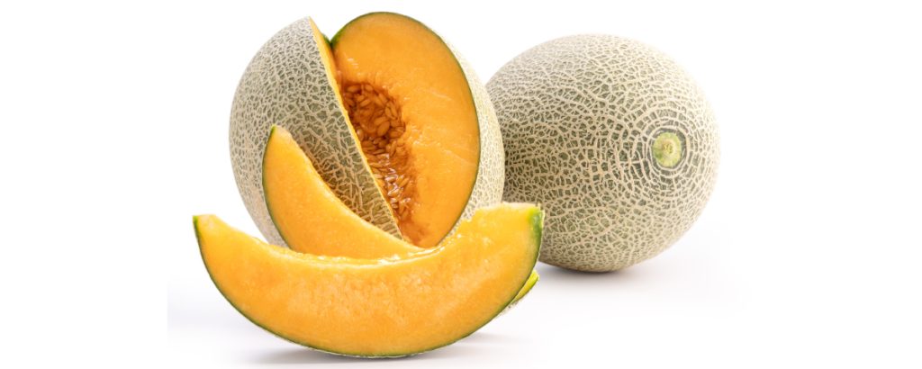 Muskmelon 