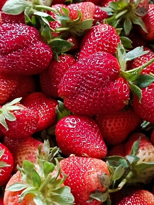 Strawberry 